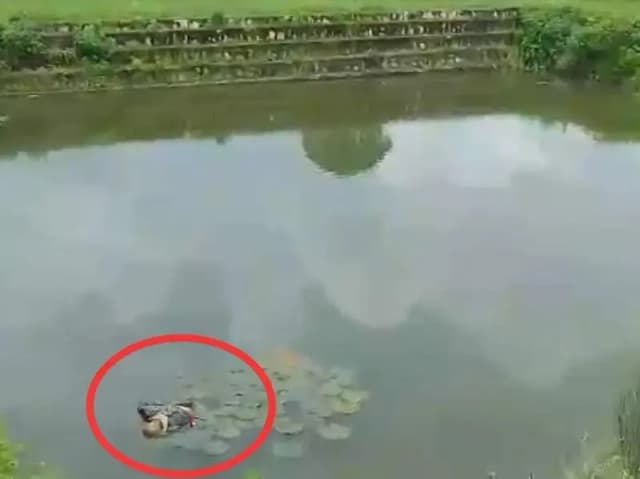 Sonbhadra News: बाउली उतराया मिला वृद्ध का शव, क्षेत्र में मचा हड़कंप, रविवार को पशु बांधने की बात कहकर घर से निकला था वृद्ध.