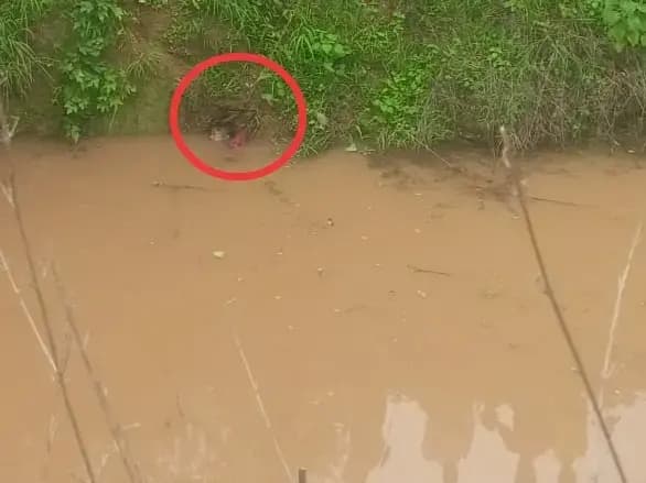 Sonbhadra News: पैर फिसलने से घटित हुई दुःखद दुर्घटना, विवाहिता की मौत से सहमा पूरा परिवार.
