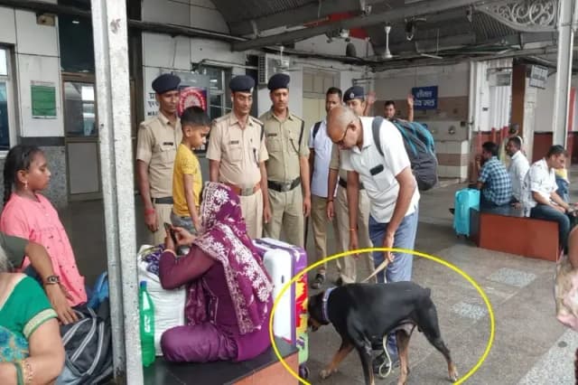 Chandauli News: स्वतंत्रता दिवस के मद्देनजर आरपीएफ और डॉग स्क्वाड की टीम ने चलाया चेकिंग अभियान.
