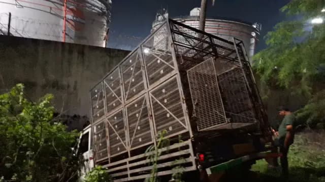 Chandauli News: पिकअप की चपेट में आये बाइक सवार दो सगे भाई, एक की मौत दूसरा घायल. 
