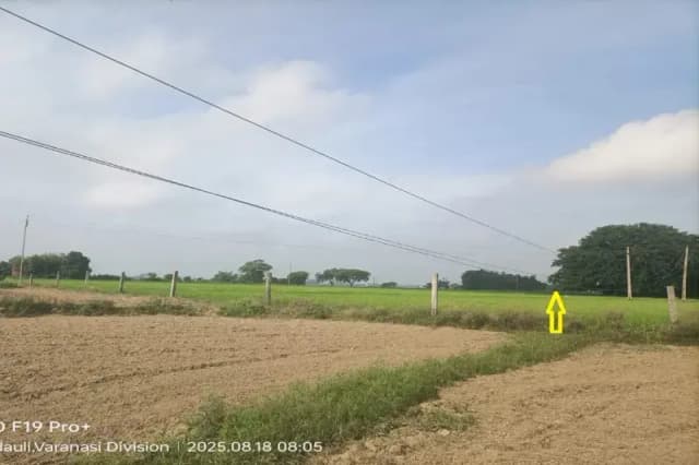 Chandauli News: बिजली विभाग की लापरवाही से कभी भी हो सकती है बड़ी घटना. 
