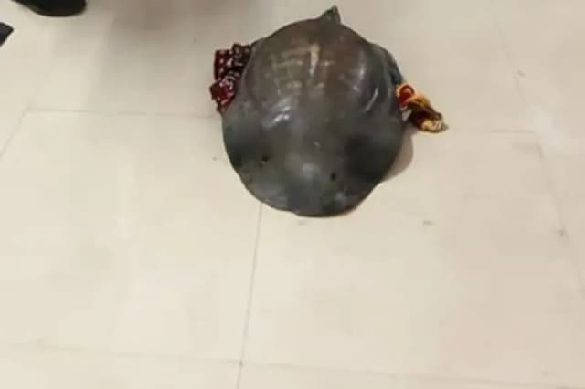 Chandauli News: प्लेटफार्म पर अचानक बैग हिलता देख सन्न रह गए  जीआरपी जवान, बैग खोला तो हो गए हैरान. 