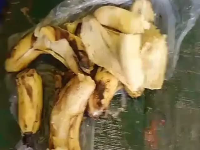 Sonbhadra News: कंपोजिट विद्यालय में गुणवताविहीन मिड-डे मिल मिलने का वीडियो हुआ वायरल, ग्रामीणों में गुस्सा.