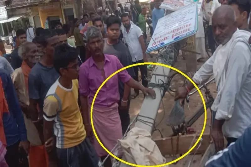  Mirzapur News: पेड़ काटने के दौरान गिरा बिजली का पोल, चपेट में आकर रिक्शा ट्रॉली चालक की मौत.