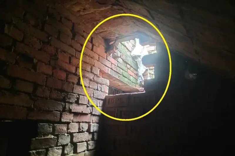 Chandauli News: किराने की दुकान में चोरों ने लगाई सेंध, नकदी सहित सामान ले गए चोर.