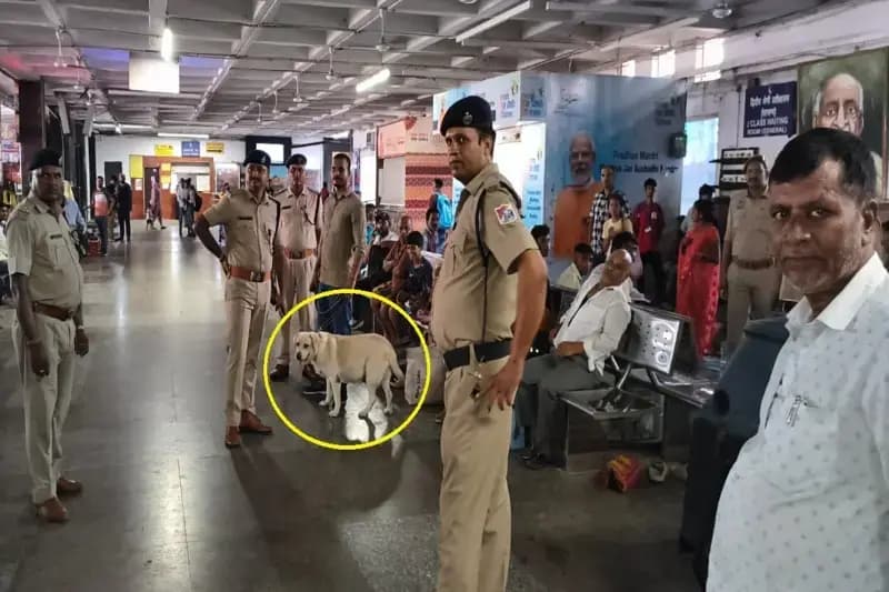 Chandauli News: जीवित्पुत्रिका व्रत के पावन पर्व को लेकर आरपीएफ और जीआरपी ने किया चेकिंग.