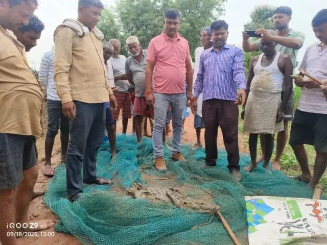Sonbhadra News: 4 फीट लंबा मगरमच्छ मिलने से मचा हड़कंप, वन विभाग ने किया रेस्कीयू.