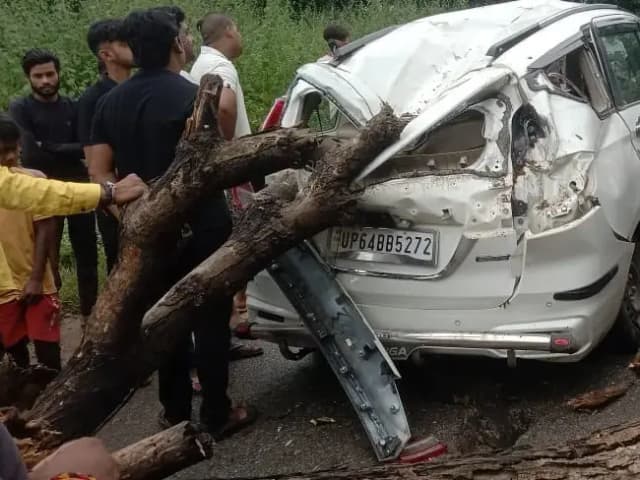 Sonbhadra News: चलती कार पर गिरा पेड़, हादसे में कार बुरी तरह क्षतिग्रस्त, पेड़ के वजन से कार के पीछे के दोनों टायर हुए ब्लास्ट.
