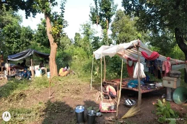 Chandauli News: कर्मनाशा में आई बाढ़ ने बनवासियों के मकान किये जमीदोज, जंगल में शरण लेने को मजबूर वनवासी.