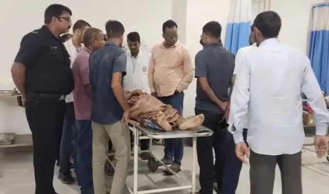 Chandauli News: नीलगाय से टकराई बाइक, मां-बेटे सड़क पर गिरे, मां की हालत गंभीर, वाराणसी रेफर.
