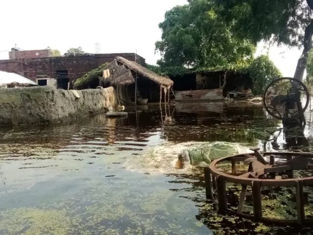 Chandauli News: पांच दिन बाद भी जलमग्न है खखड़ा गांव, प्रशासन नदारद.
