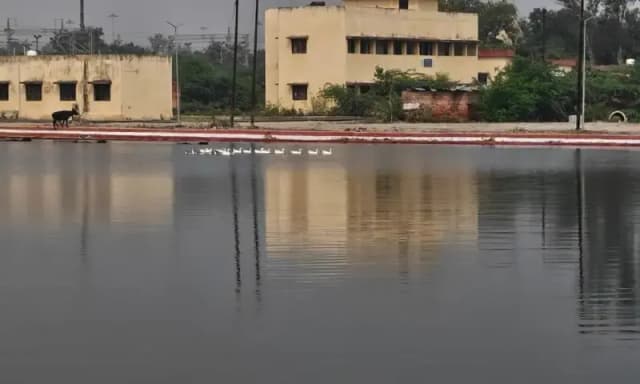 Chandauli News: महापर्व डाला छठ की तैयारी शुरू, मानसरोवर तालाब की साफ सफाई अंतिम दौर में.
