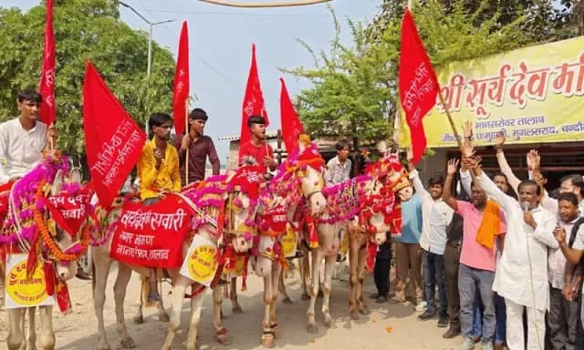 Chandauli News: छठ पर्व से पहले सूर्यदेव के 7 घोड़ों को  नगर भ्रमण के लिए किया रवाना. 
