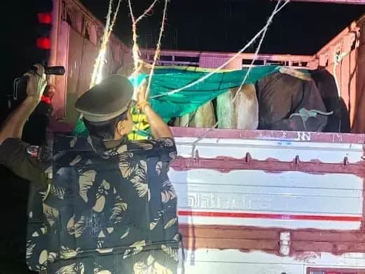 Sonbhadra News: पुलिस और गो तस्करों के बीच हुई मुठभेड़, एक घायल तस्कर गिरफ्तार, अन्य फरार.