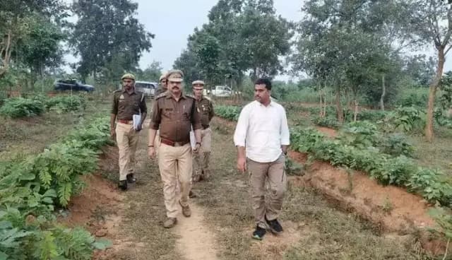 Chandauli News: डीएफओ ने नौगढ़ रेंज का किया निरीक्षण, पौध संरक्षण में लापरवाही पर जताई नाराजगी.
