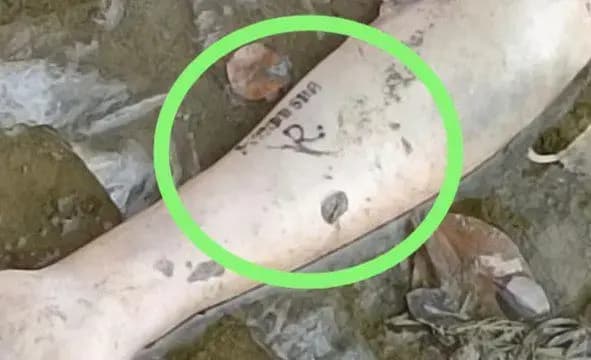 Chandauli News: नहर किनारे मिला कटा हुआ हाथ, लिखा था मनीषा देवी और R, मची सनसनी.