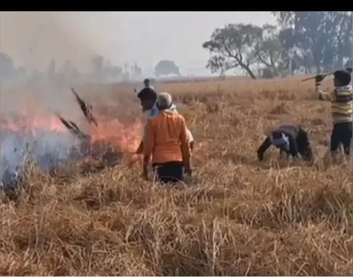 Chandauli News: खड़ी धान की फसल में अज्ञात कारणों से लगी आग, लाखों का नुकसान.
