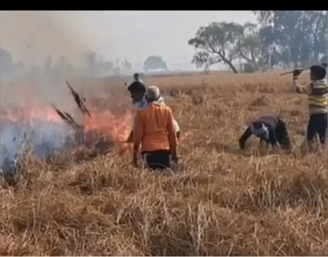 Chandauli News: खड़ी धान की फसल में अज्ञात कारणों से लगी आग, लाखों का नुकसान.
