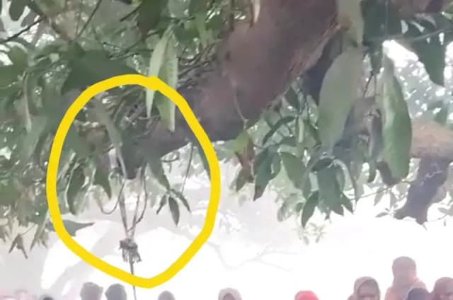 Chandauli News: संदिग्ध परिस्थितियों में पेड़ से रस्सी के सहारे लटकता मिला युवक का शव, इलाके में सनसनी.
