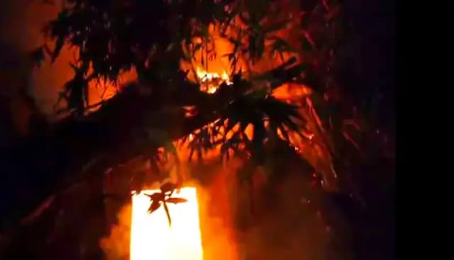 Chandauli News: मड़ई नुमा मकान में आगजनी, हजारों का सामान जलकर राख.
