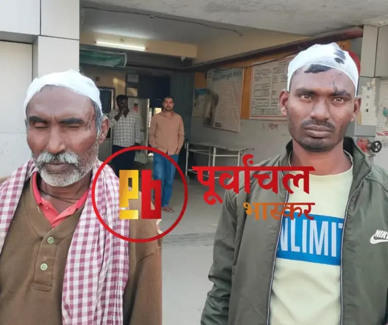 Chandauli News:गोबर पर भैंस चढ़ने को लेकर दो पक्षों में मारपीट, सात घायल.
