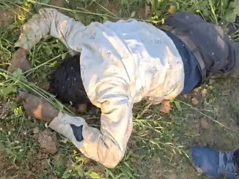 Sonbhadra News: नशे की हालात में बिजली टावर पर चढ़ा युवक, मुंह के बल गिरने से युवक की दर्दनाक मौत.