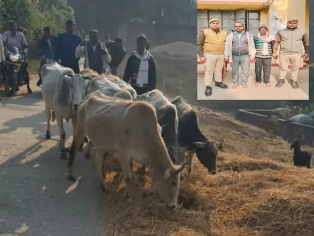 Sonbhadra News: अवैध गोवंश तस्करी का भंडाफोड़, 9 गोवंश बरामद, 2 तस्कर गिरफ्तार.