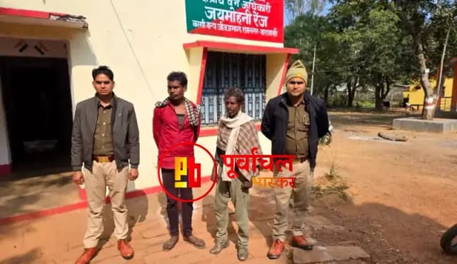 Chandauli News: प्रतिबंधित वन क्षेत्र में खैर के हरे पेड़ काटते दो तस्कर रंगे हाथ गिरफ्तार.