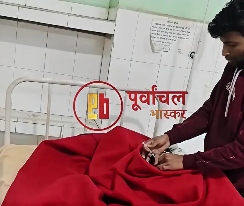 Sonbhadra News: इंटरमीडिएट बोर्ड की परीक्षा देने गए एक छात्र को भौरों ने काटा, जिला अस्पताल रेफर, छूटी परीक्षा.