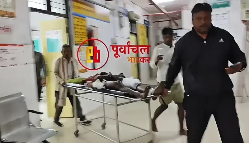 Chandauli News: खेत में काम कर रहे दंपती पर जंगली सूअरों ने किया जानलेवा हमला.
