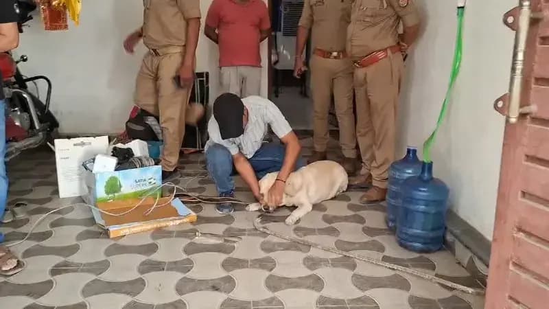 Chandauli News: बंद मकान को चोरों ने बनाया निशाना, नकदी समेत लाखो के जेवरात पर हाथ किया साफ.
