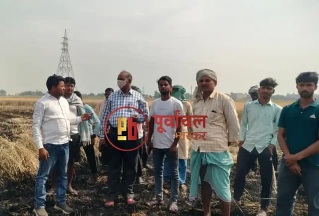 Chandauli News: अज्ञात कारणों से लगी आग से 7 बीघा गेहूं की फसल जलकर राख.
