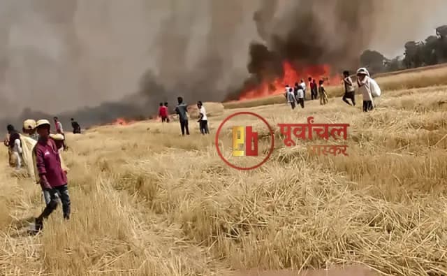 Chandauli News: हार्वेस्टर की चिंगारी से लगी आग, 40 बीघा गेहूं की फसल जलकर खाक.
