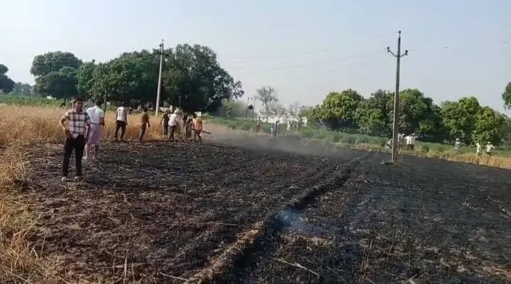 Chandauli News: शॉर्ट सर्किट से लगी आग, 15 बिस्वा गेहूं की फसल जलकर राख.
