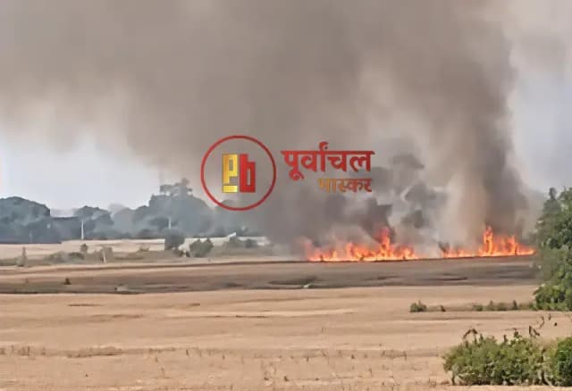 Chandauli News: भीषण आग से 10 बीघा गेहूं की फसल राख, किसानों पर टूटा दुखो का पहाड़.
