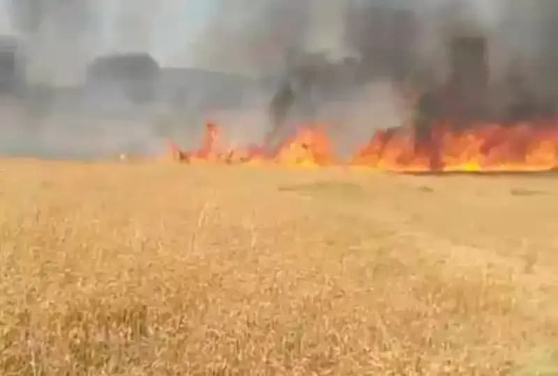 Chandauli News: भीषण आग से दर्जनों बीघा गेहूं की फसल राख, किसानों पर टूटा संकट.
