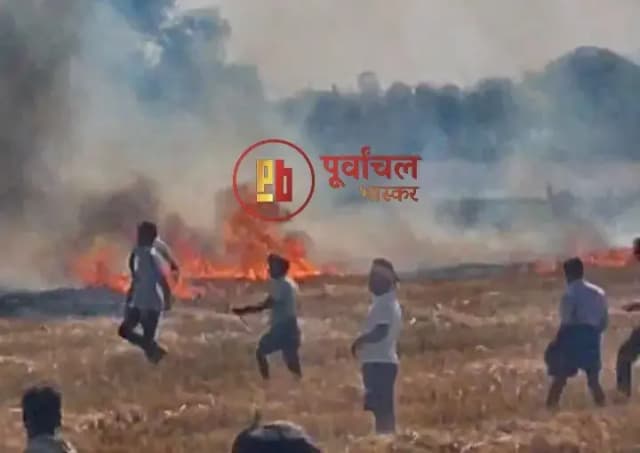 Chandauli News: आग का कहर, खेत में खड़ी 5 बीघा गेहूं की फसल जलकर राख, किसानों में मायूसी.