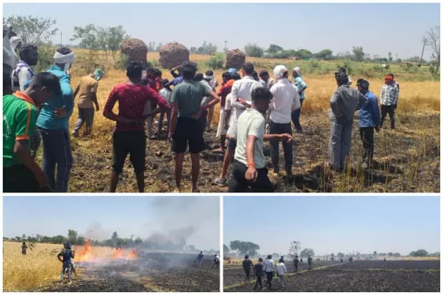 Sonbhadra News: खड़ी गेहूं की फसल में लगी आग, 12 बीघा फसल जलकर खाक.