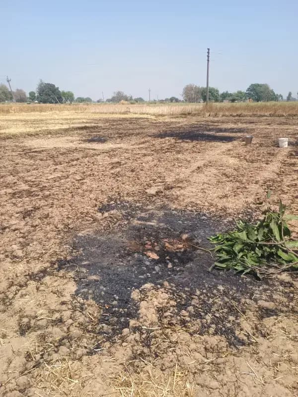 Chandauli News: आग से जली 8 बीघा गेहूं की, किसान ने लगाई मुआवजे की गुहार.
