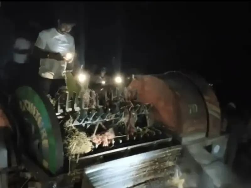 Sonbhadra News: थ्रेशर में फंसकर मजदूर की दर्दनाक मौत, मड़ाई के दौरान हुआ हादसा.
