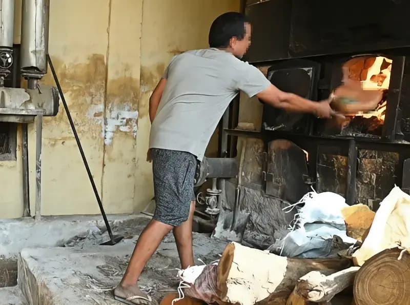 Chandauli News: ऑपरेशन दहन’ के तहत 953 किलो गांजा नष्ट, पुलिस की बड़ी कार्रवाई.
