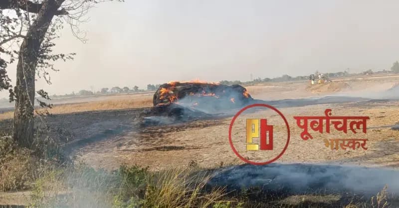 Chandauli News: भीषण आग से पुआल-भूसा जलकर राख.
