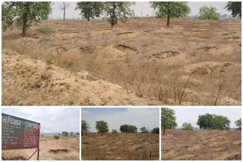 Sonbhadra News : रेणुका नदी किनारे वृक्षारोपण में लाखों का ‘खेला’, मानकों की खुली अनदेखी.