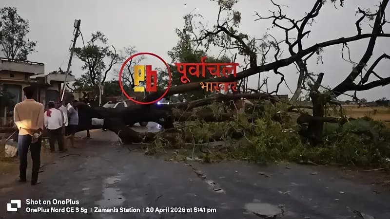 Chandauli News: आंधी में पेड़ गिरने से युवक की मौत, मचा हड़कंप.
