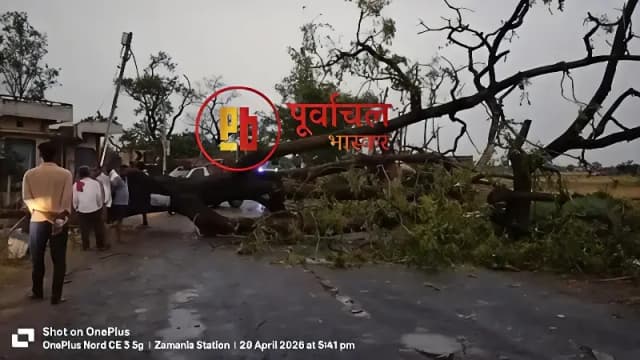 Chandauli News: आंधी में पेड़ गिरने से युवक की मौत, मचा हड़कंप.
