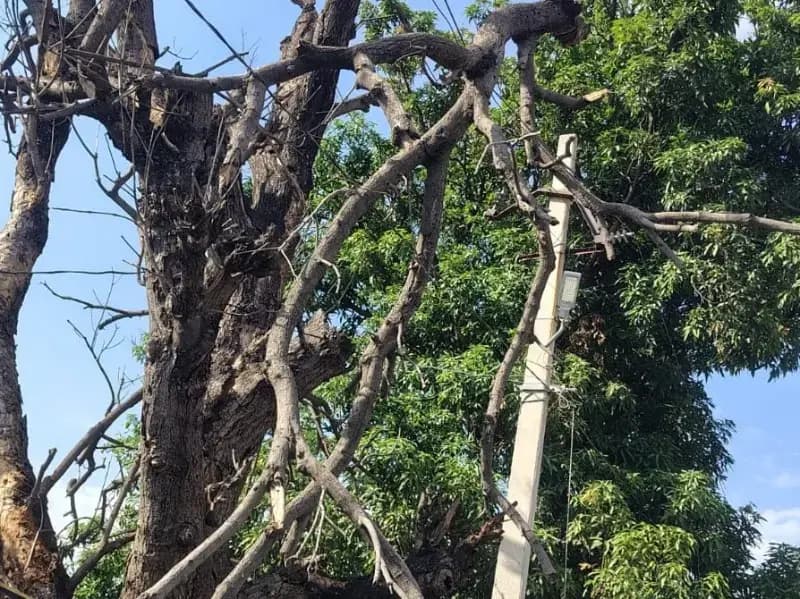 Sonbhadra News: चक्रवाती तूफान का कहर 24 घण्टा से बिजली सप्लाई बंद कई जगह पोल तार जमीनदोज.