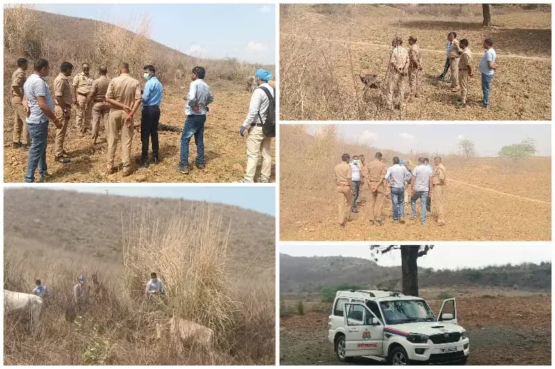 Sonbhadra News: बघबनवा क्षेत्र में झाड़ियों में मिला अज्ञात युवक का शव.
