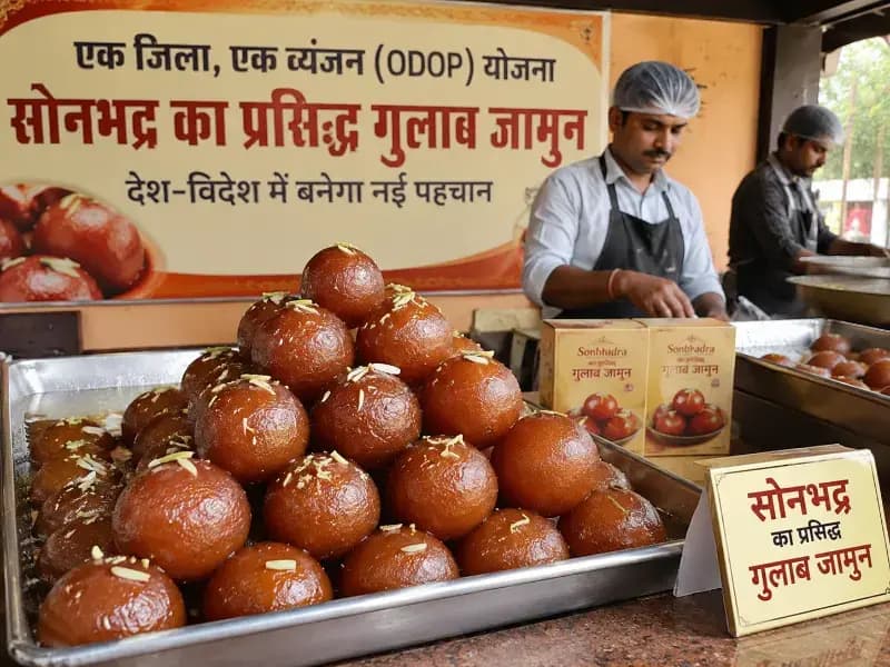 Sonbhadra News: सोनभद्र के गुलाब जामुन को मिलेगी वैश्विक पहचान, ओडीओसी योजना में हुआ शामिल.
