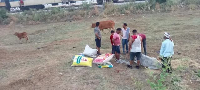 Chandauli News: भूसा में छिपाकर ले जाए जा रहे मवेशी, पिकअप पलटने के बाद खुला राज.
