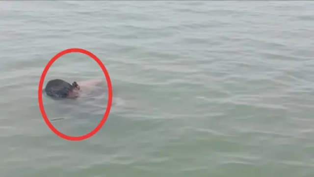 Sonbhadra News: रिहंद जलाशय में डूबे दोनों युवकों के शव बरामद, 30 घंटे बाद सफल हुआ रेस्क्यू अभियान.
